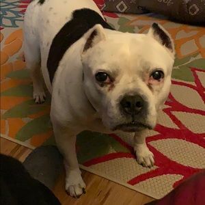 Meet your Posher, Dian